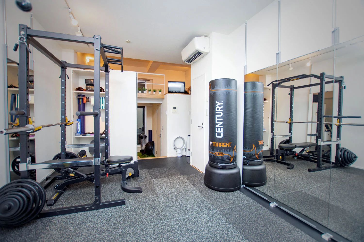 TOTAL BODY PROGRAM
