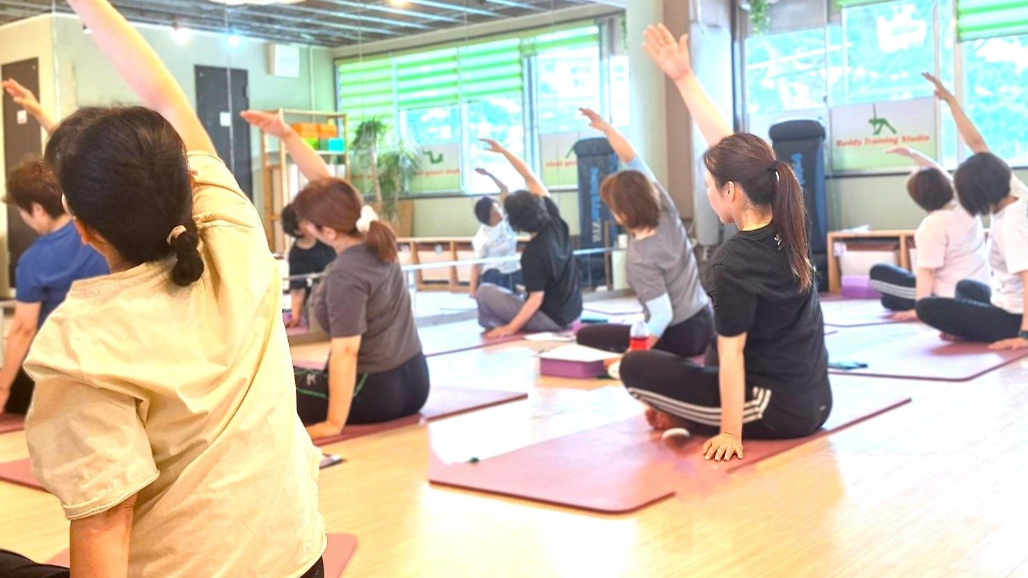 Buddy-Training-Studio
