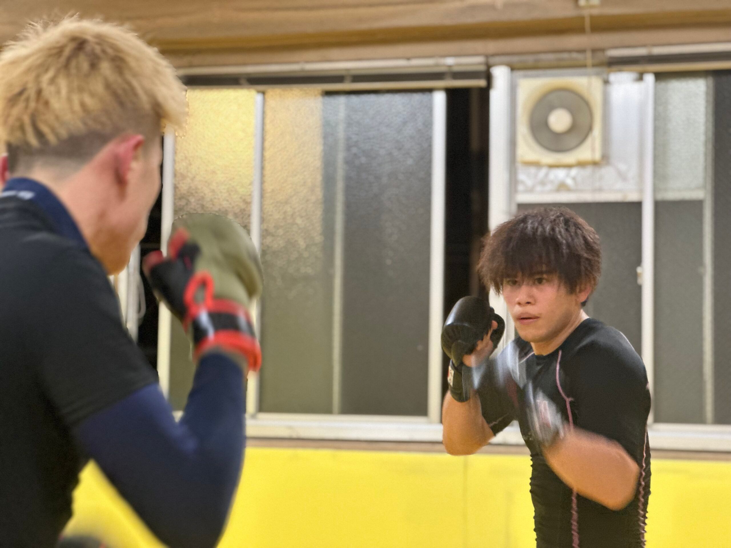 095BJJ