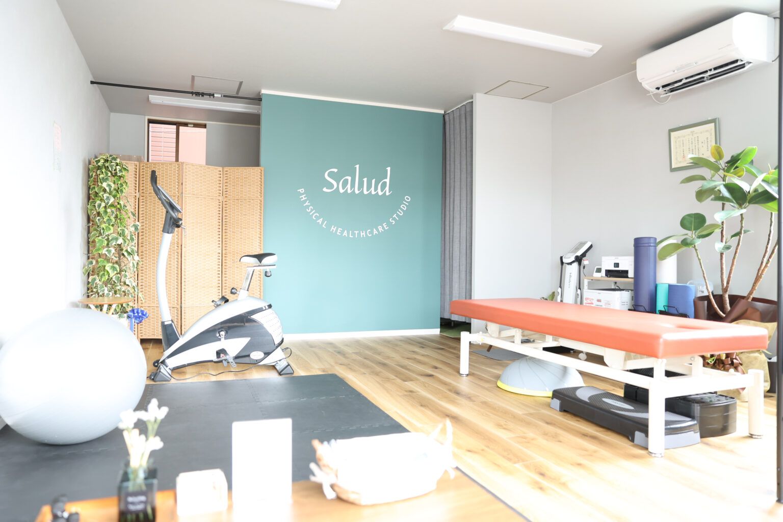 Salud physical healthcare studio