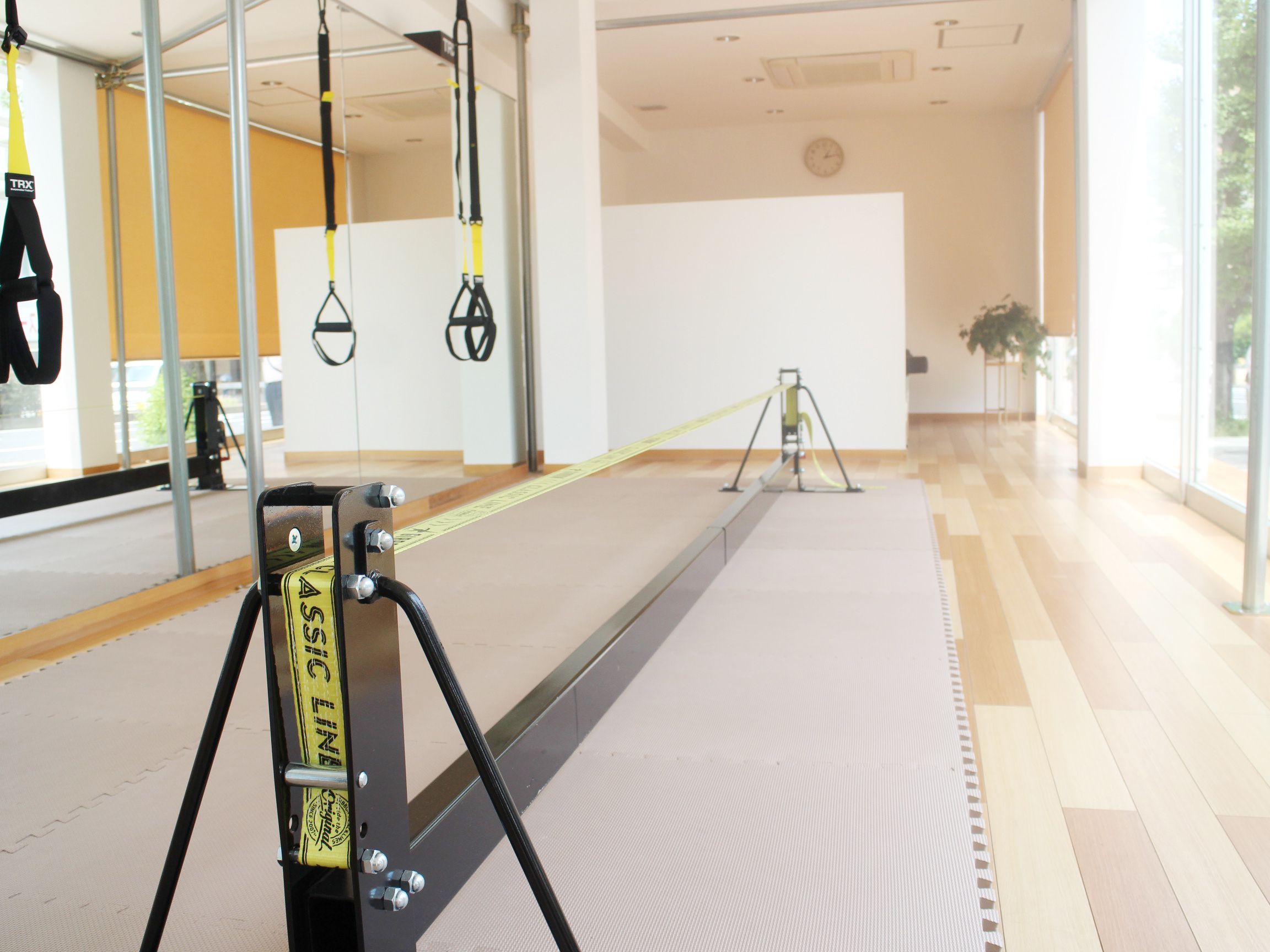 Best Condition Lab+