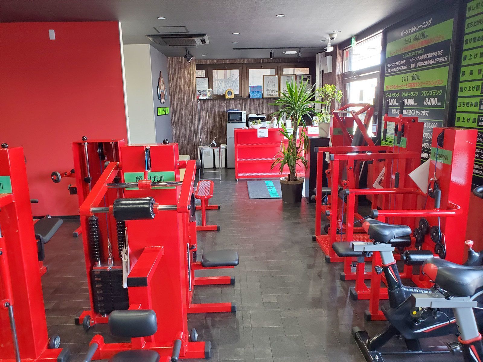 JUNGLEGYM
