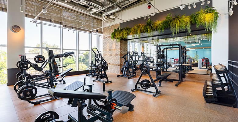 WELL HACK GYM