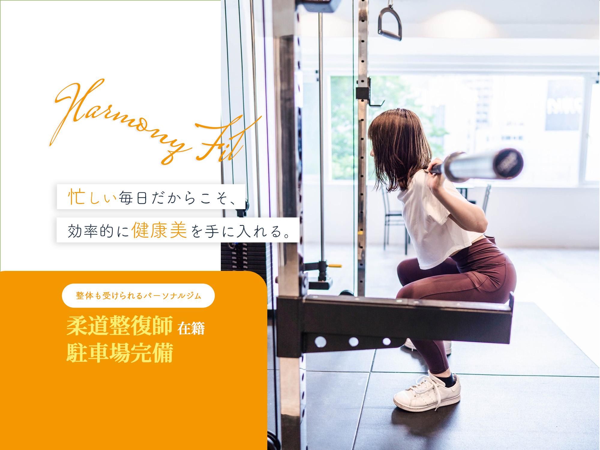 Harmony Fit