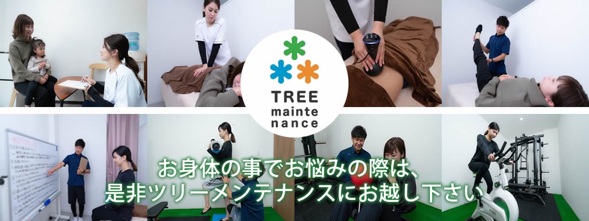 ツリーメンテナンス