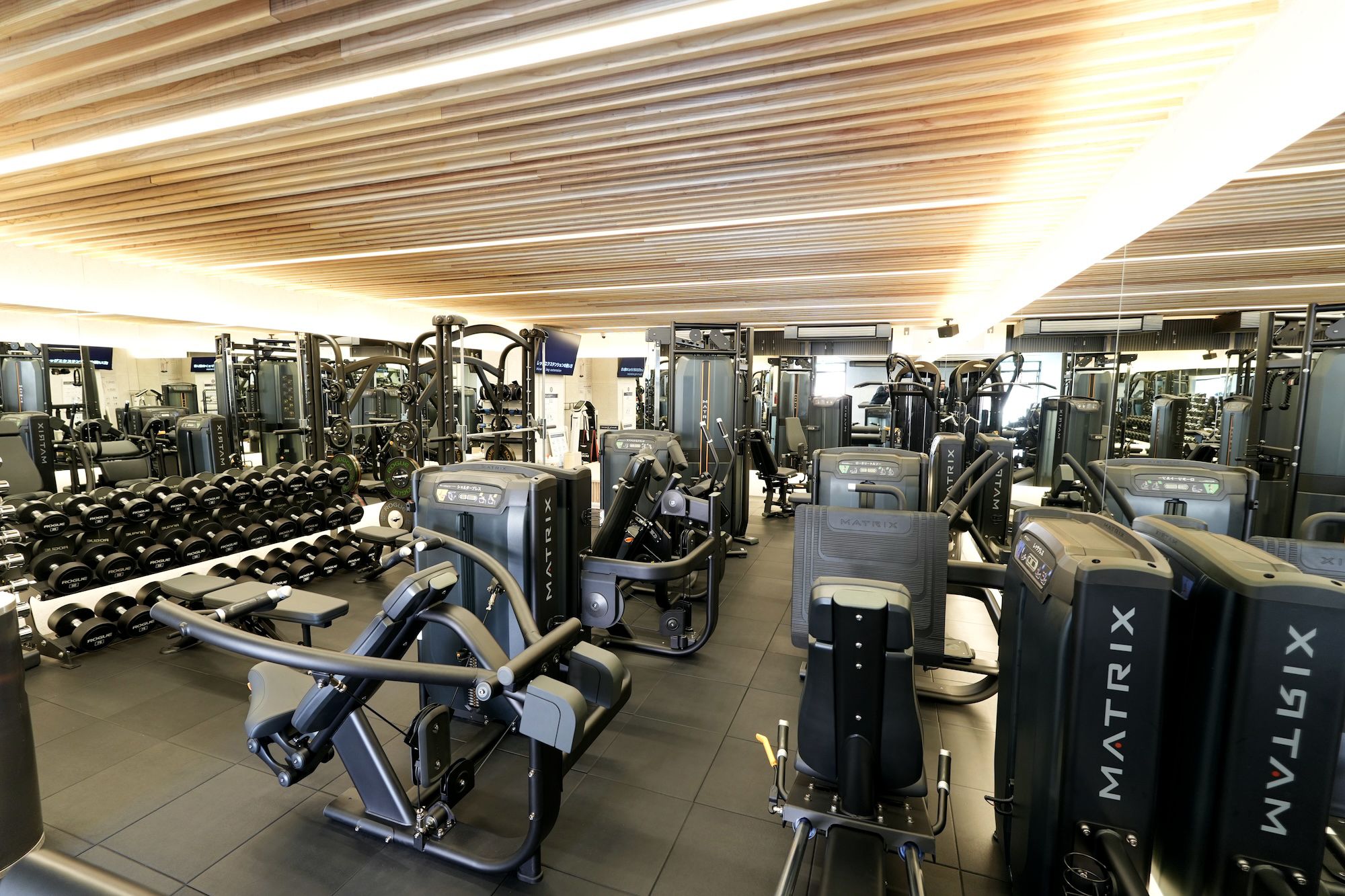 MINI GYM 365