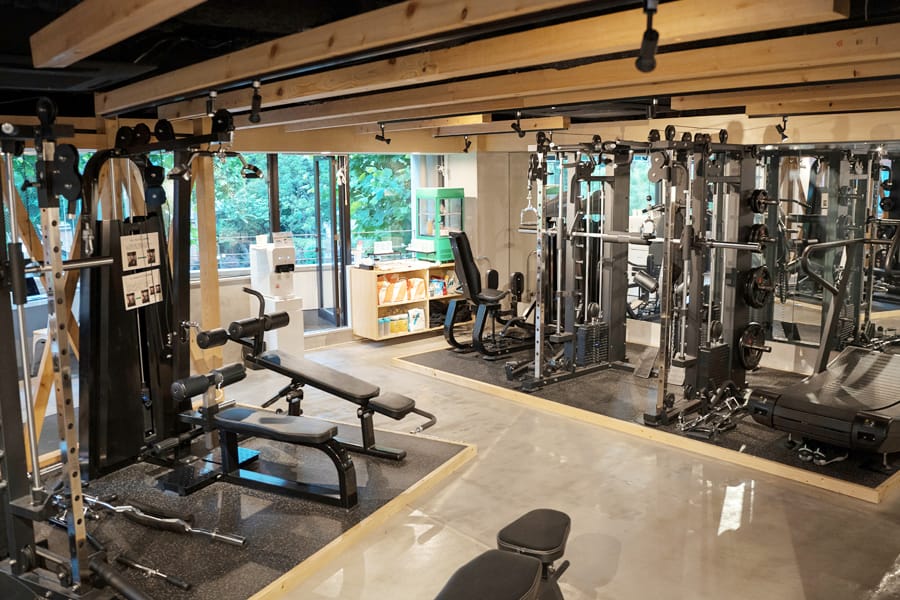 maestro fitness