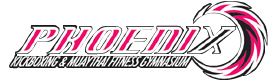PHOENIX KICK