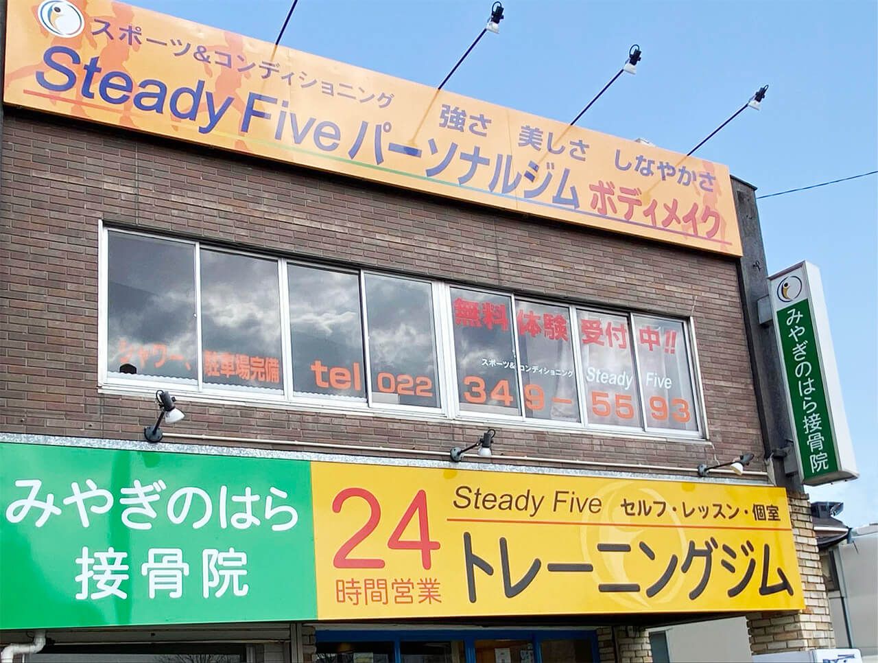 ステディファイブ