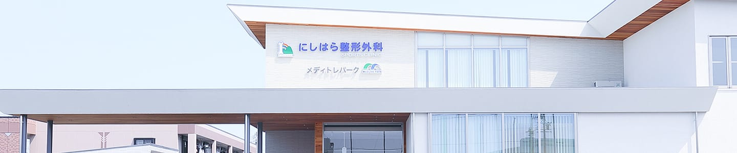 メディトレパーク