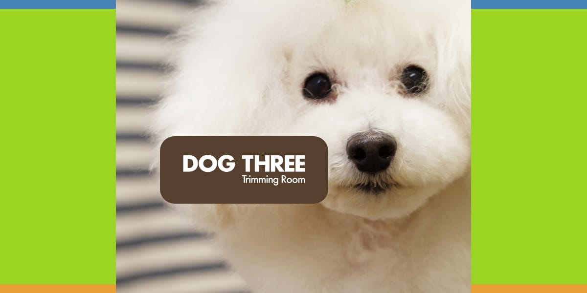 DOG THREE