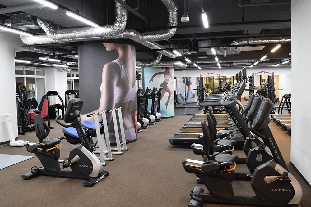 Fit ANNEX