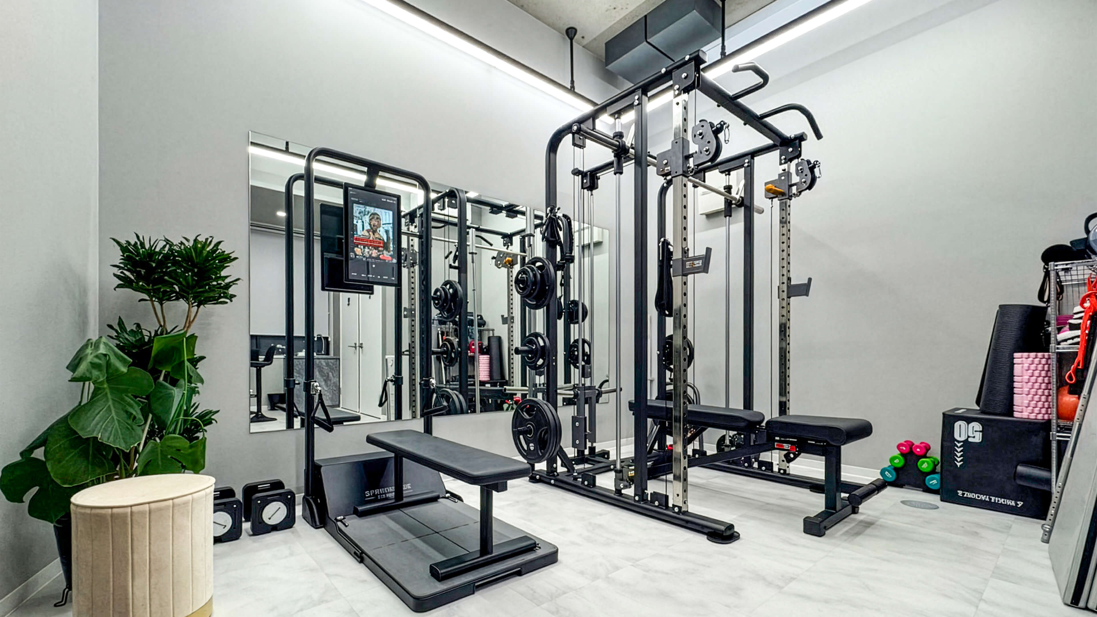 WELF GYM