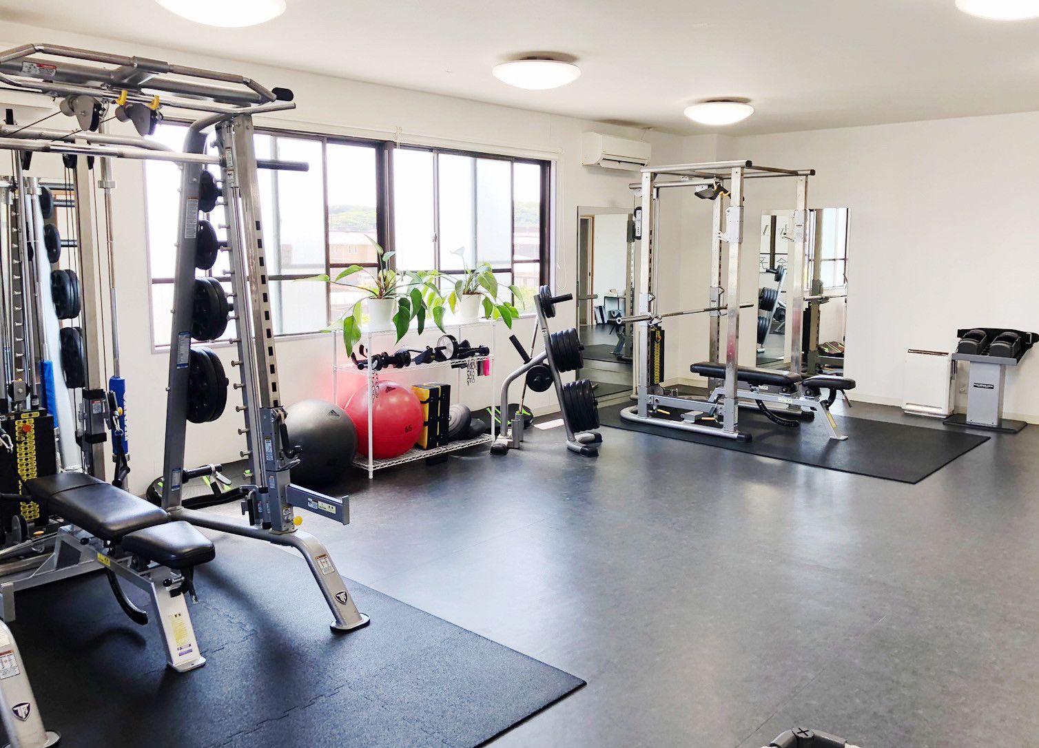 Body Make Gym LEAD