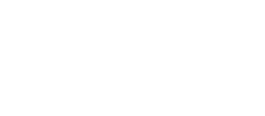 Cygnus（シグナス）