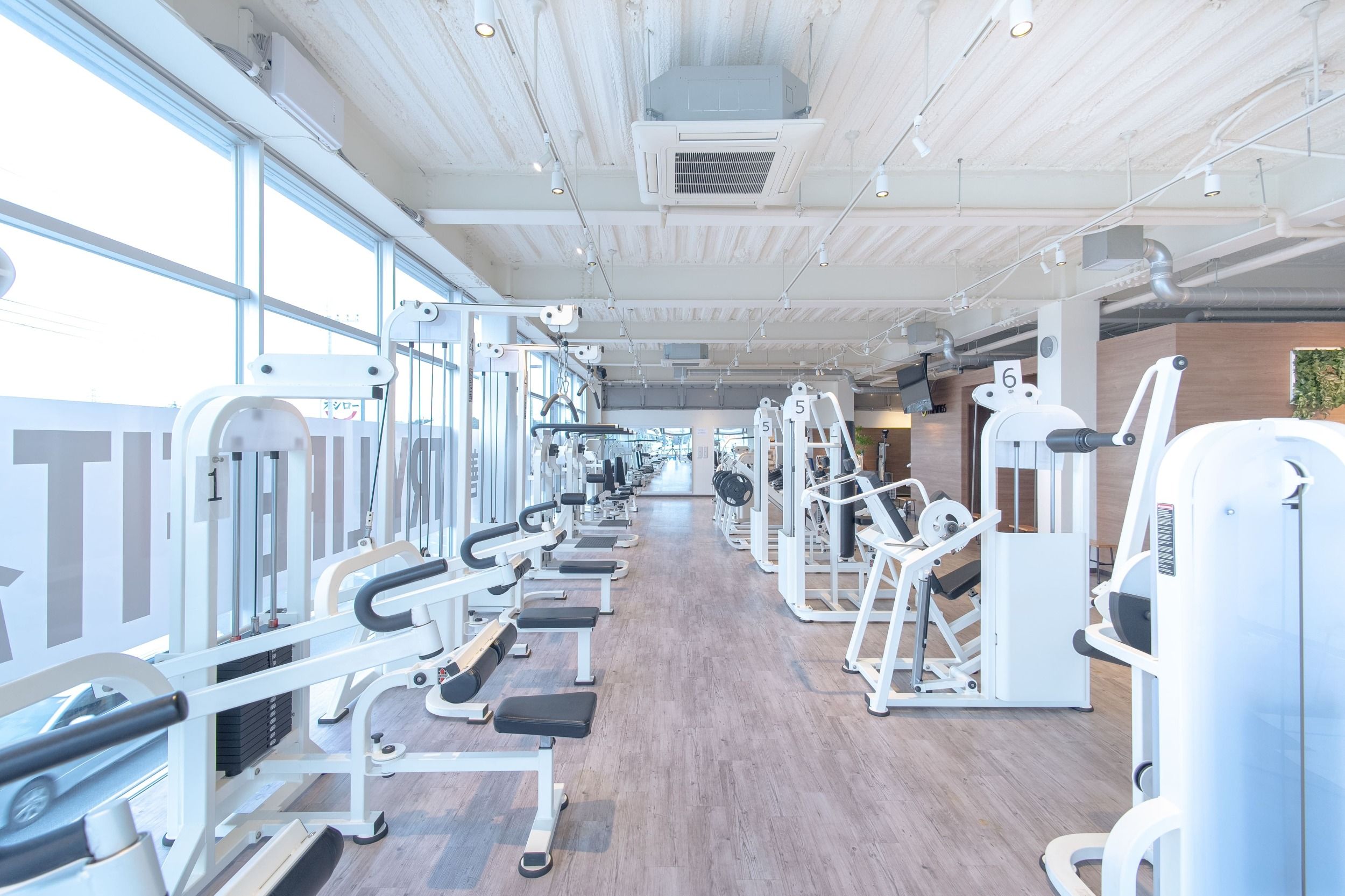 TryLifeFit