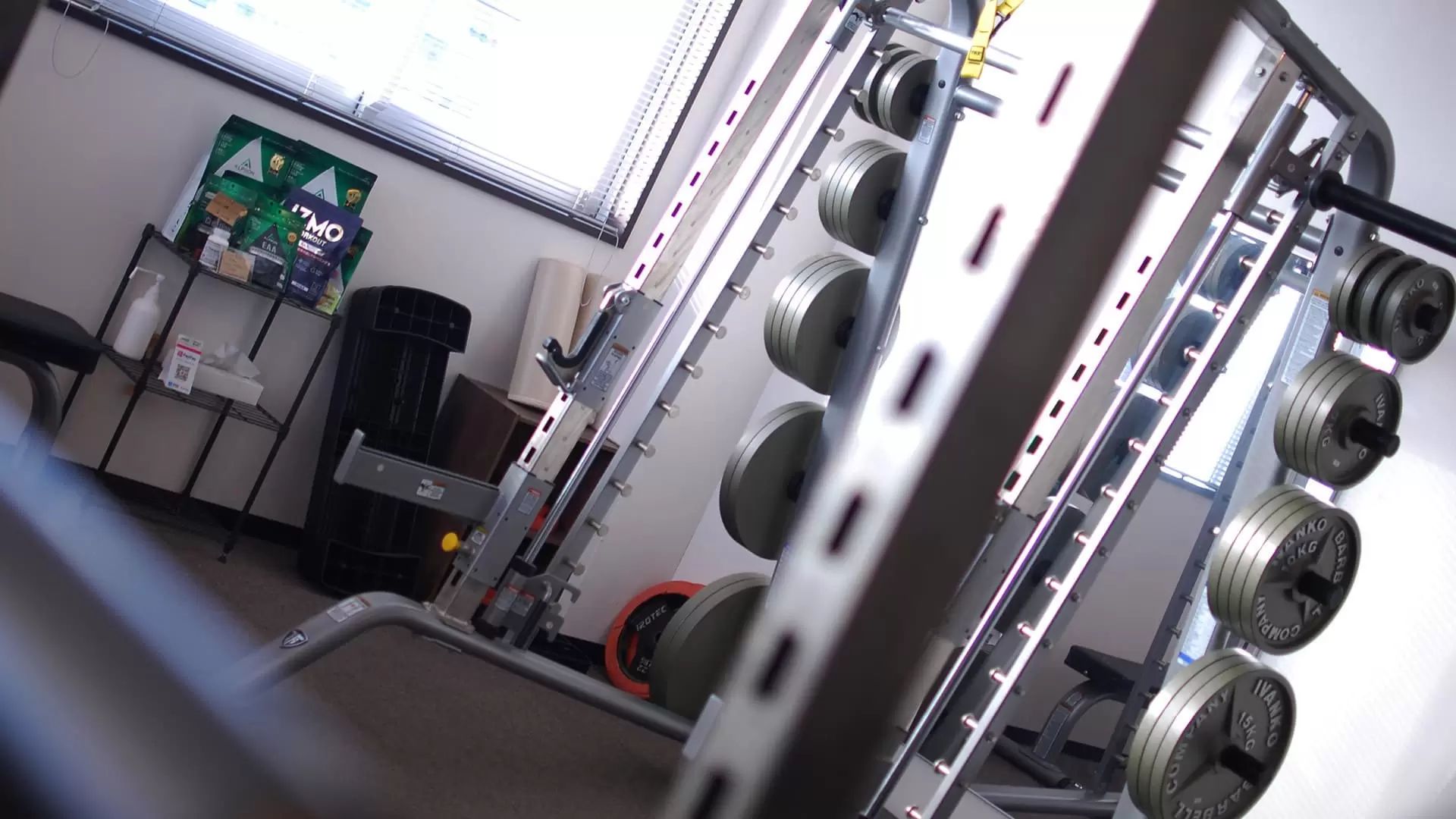 Acegym