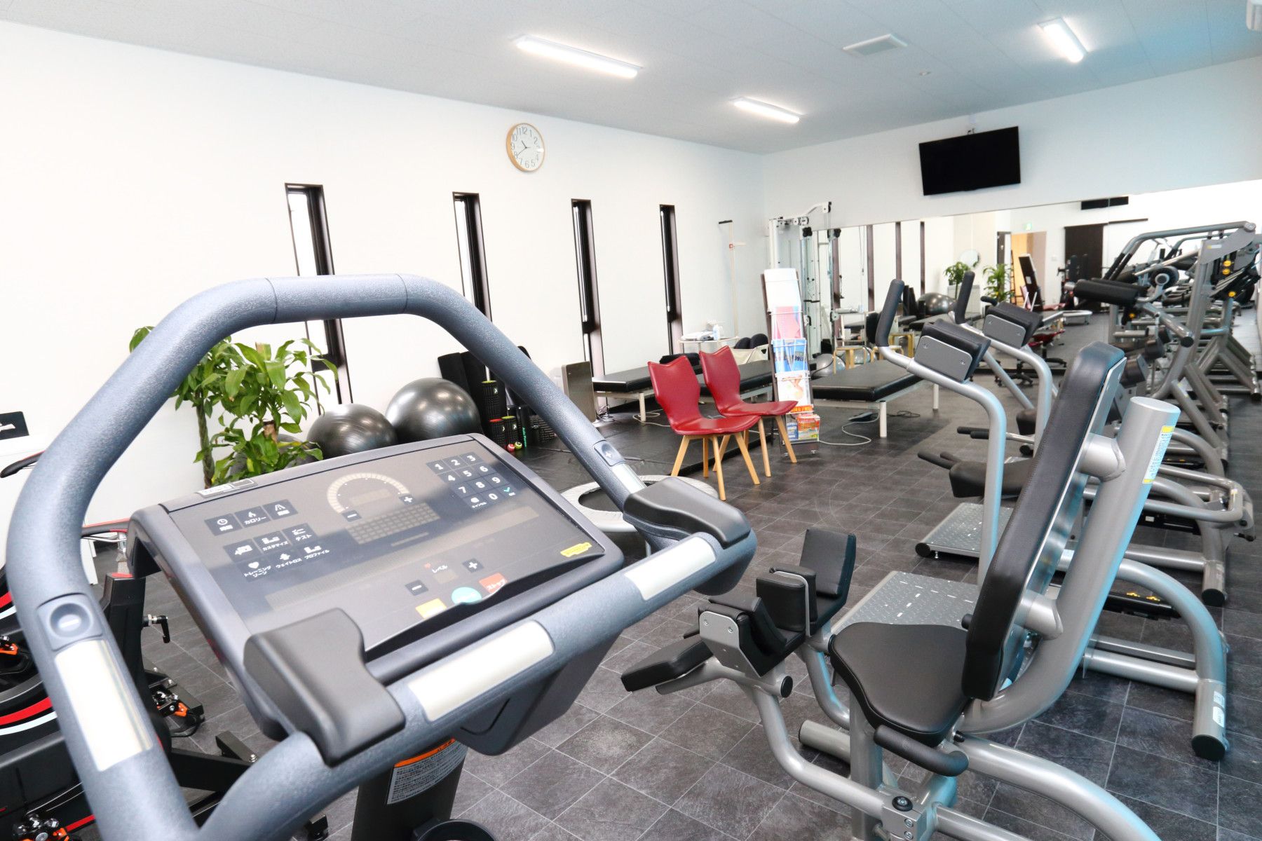 Physical Studio HArt