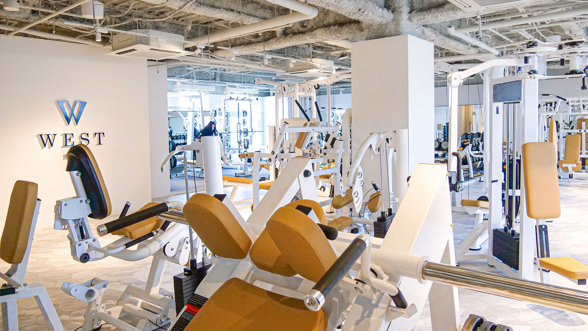 Fitness Gym WEST