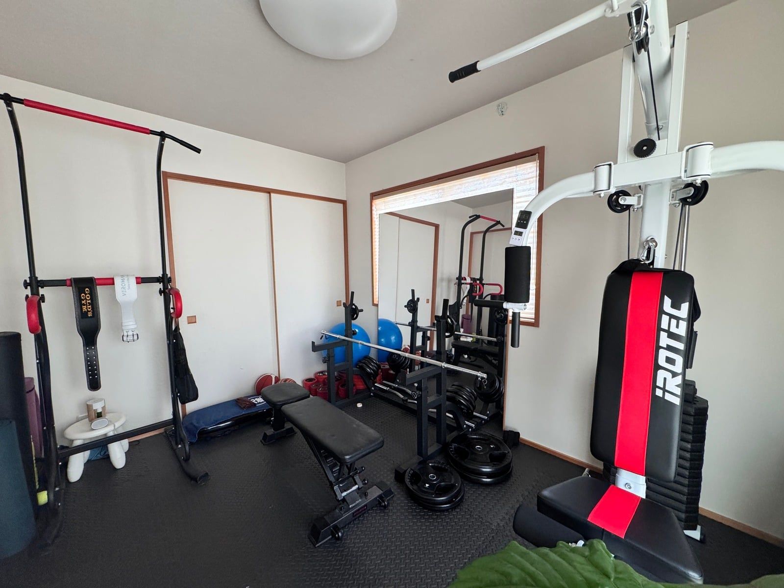 siipi plus training